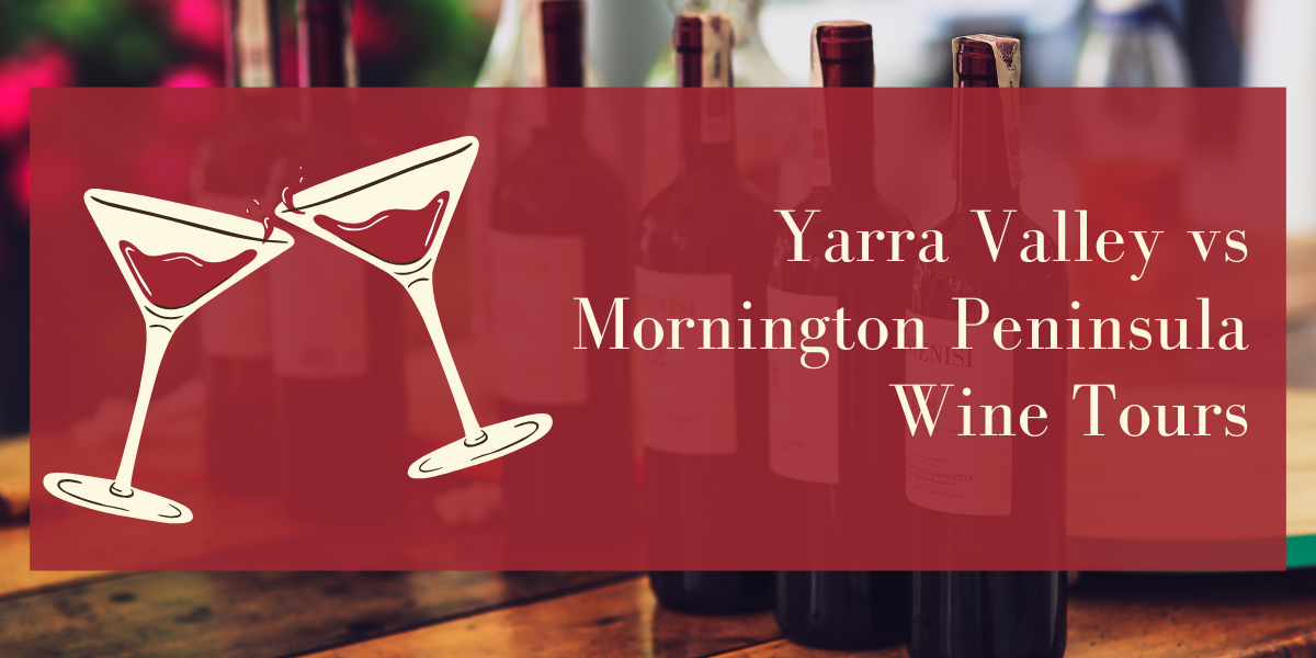 You are currently viewing Yarra Valley vs Mornington Peninsula Wine Tours